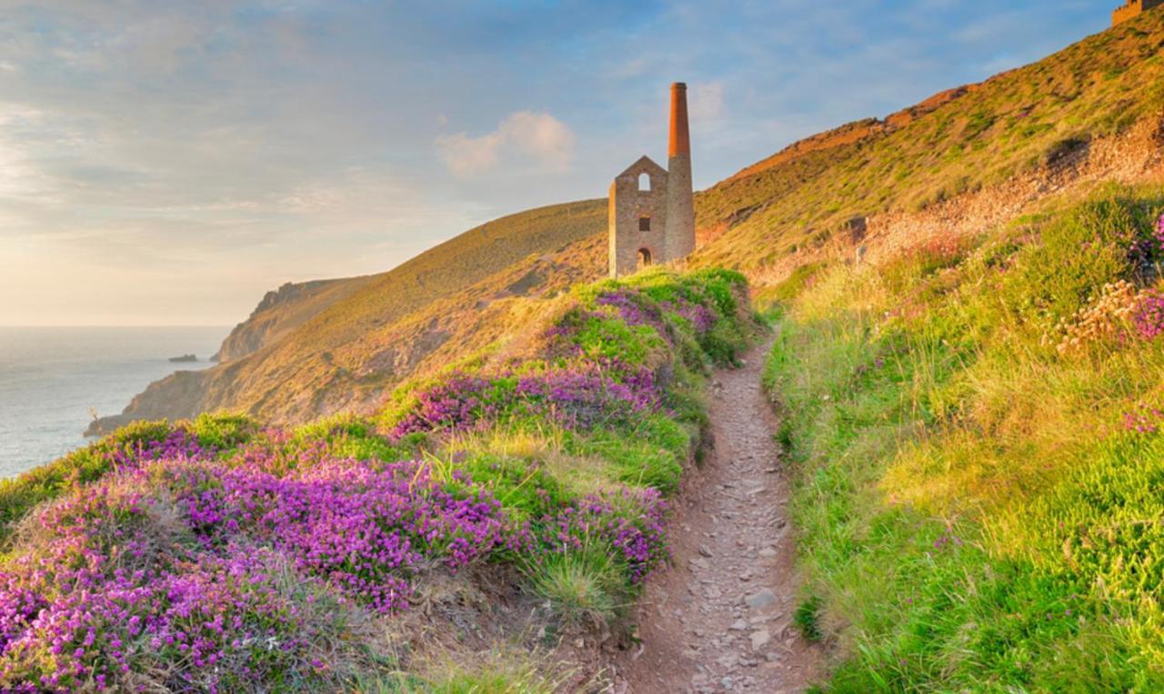 Idyllic Cornish Cottage, Superking Bed, Private Garden Dogs Welcome Truro Exterior photo