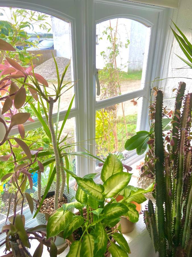 Idyllic Cornish Cottage, Superking Bed, Private Garden Dogs Welcome Truro Exterior photo